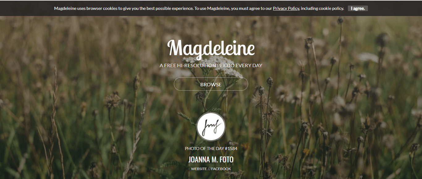 Magdeleine