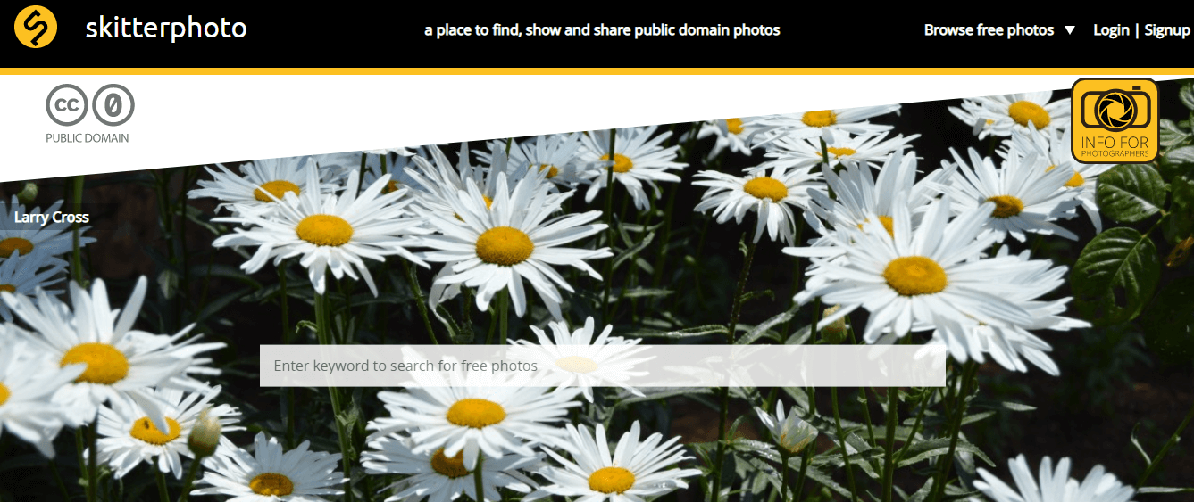 SkitterPhoto